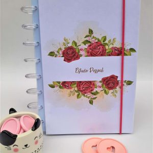 Montando meu Caderno de Discos