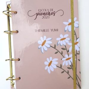 Montando meu Caderno Fichário