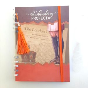 Estudando as Profecias