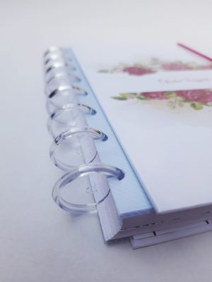 Montando meu Caderno de Discos